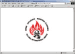 Fellows International